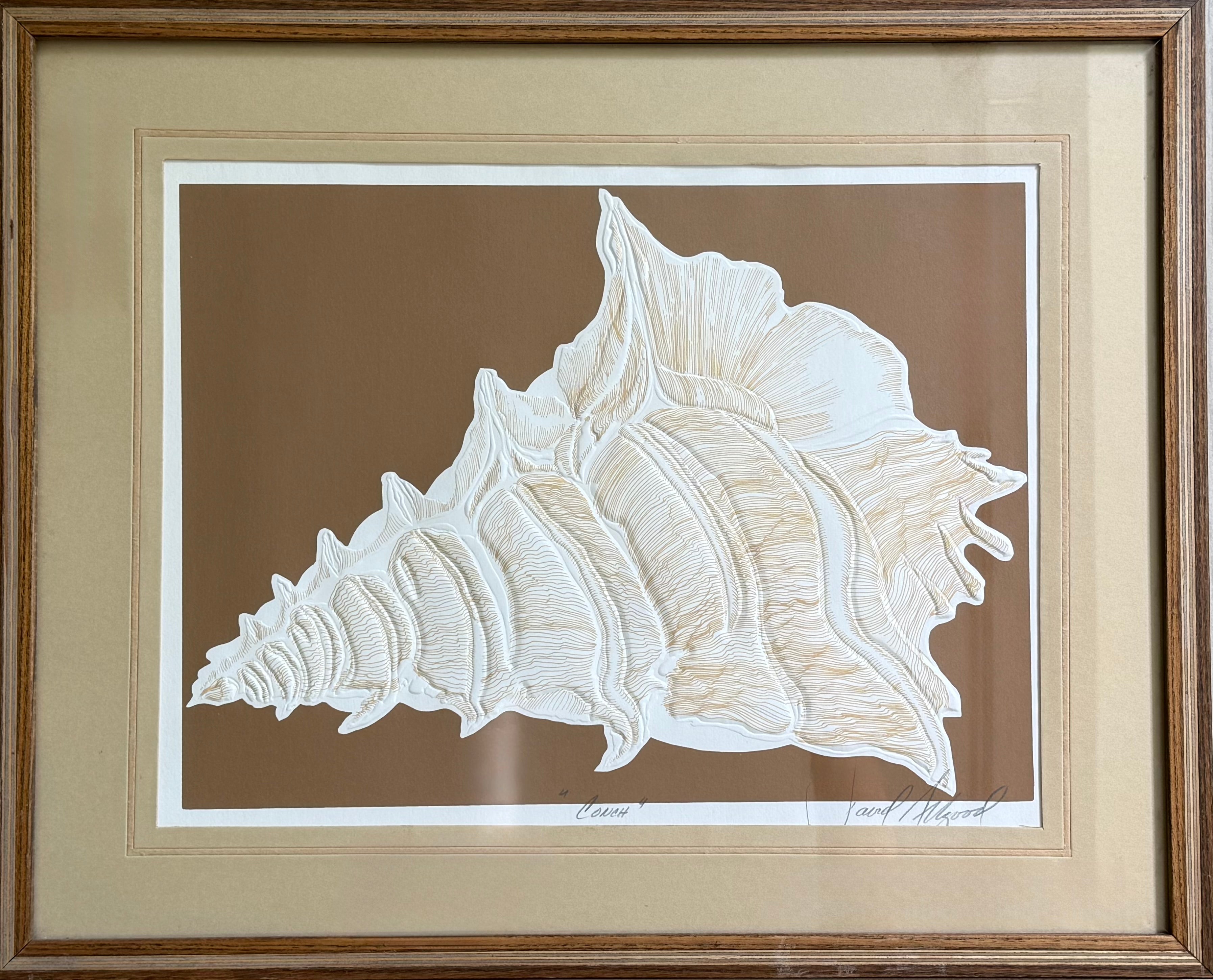 Vintage Signed Conch Etching by David Allgood (Brown)
