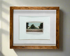 Vintage Florida Orange Grove Framed Post Card - circa 1900s