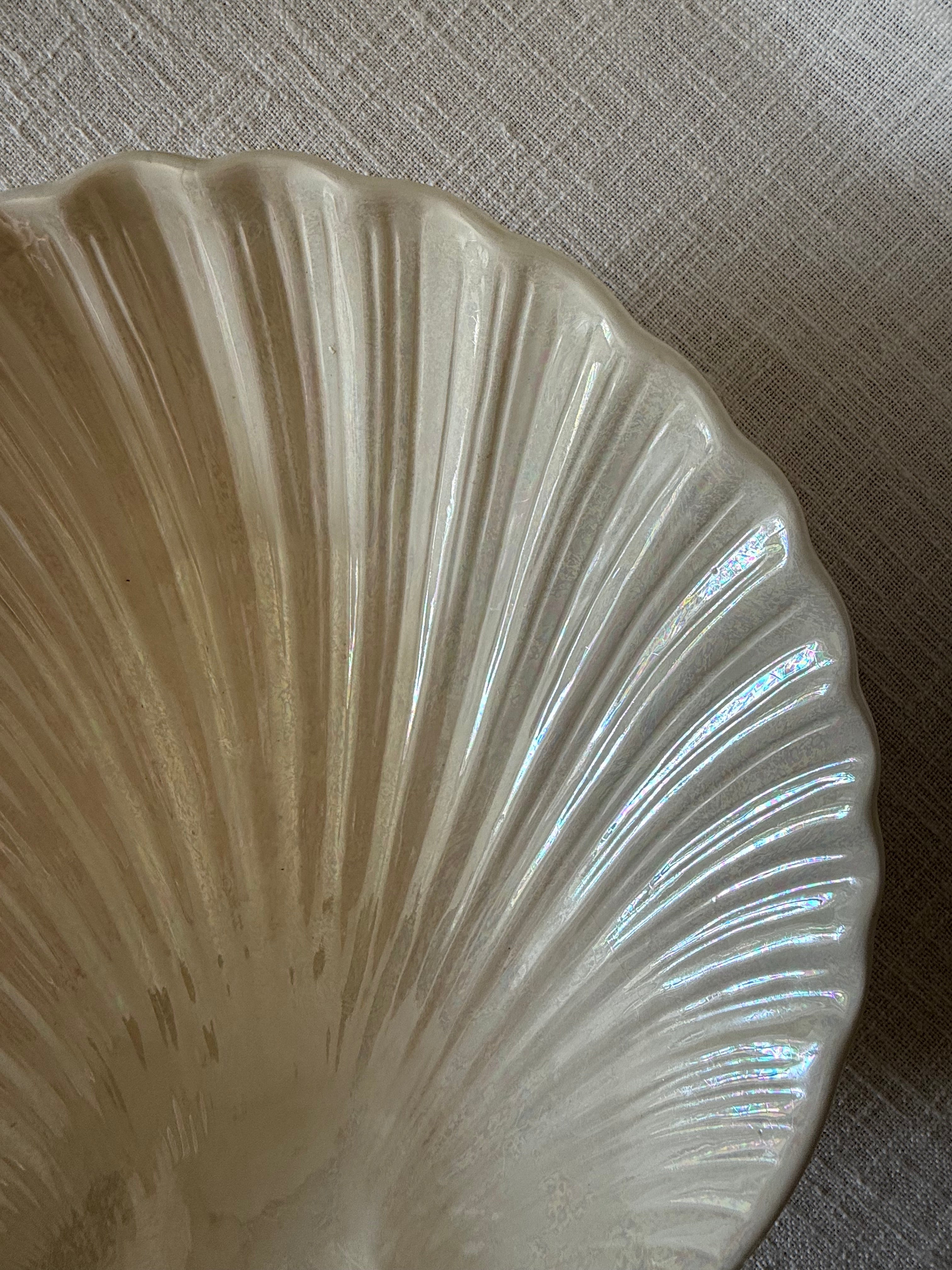 Glazed Ivory Seashell Display Bowl