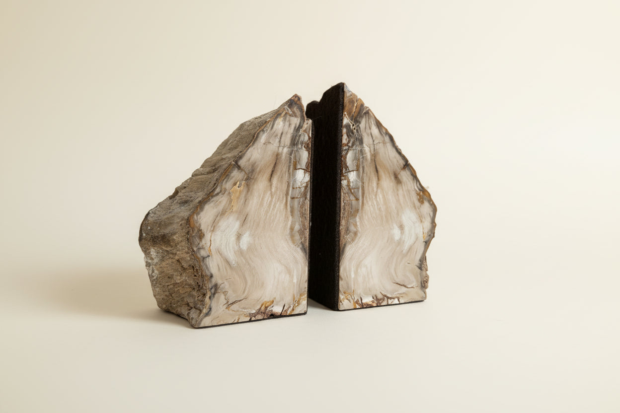 Vintage Petrified Wood Book Ends (set of 2)