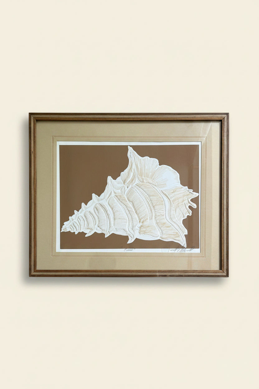 Vintage Signed Conch Etching by David Allgood (Brown)