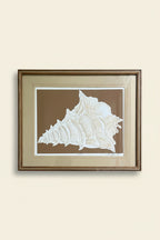 Vintage Signed Conch Etching by David Allgood (Brown)