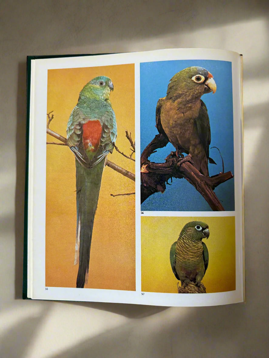 "Encyclopedia of Cage and Aviary Birds" Vintage Coffee Table Book