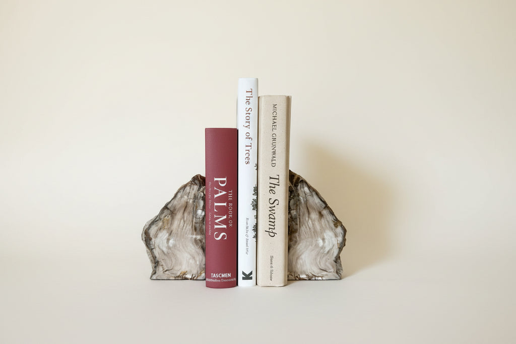Vintage Petrified Wood Book Ends (set of 2)