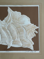 Vintage Signed Conch Etching by David Allgood (Brown)