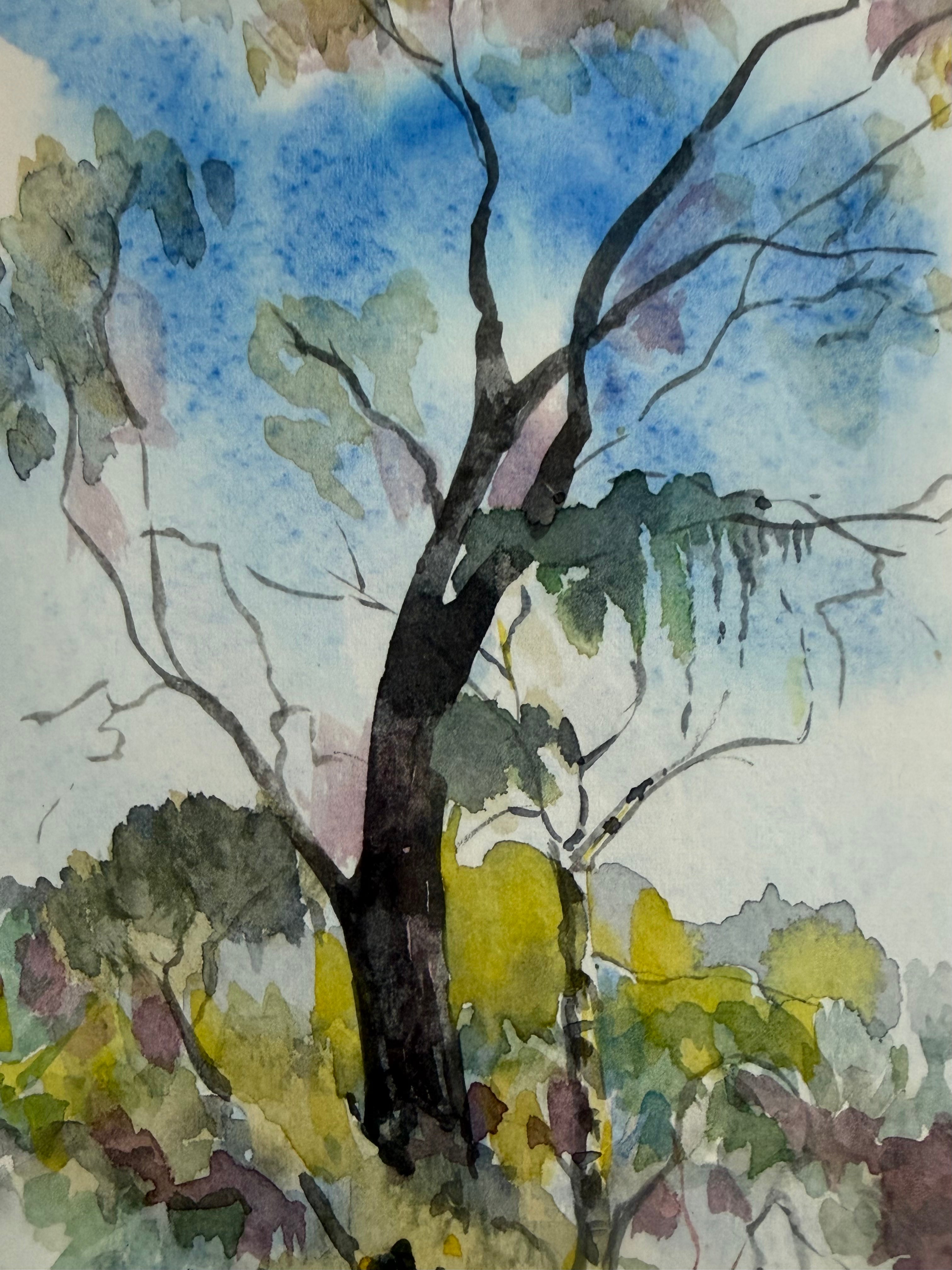 Framed, Signed Shannon Marquard Landscape Watercolor